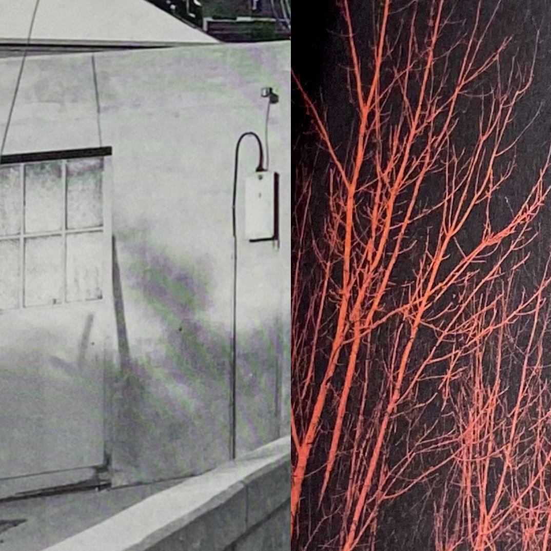 Catalogue #6: Artists Books