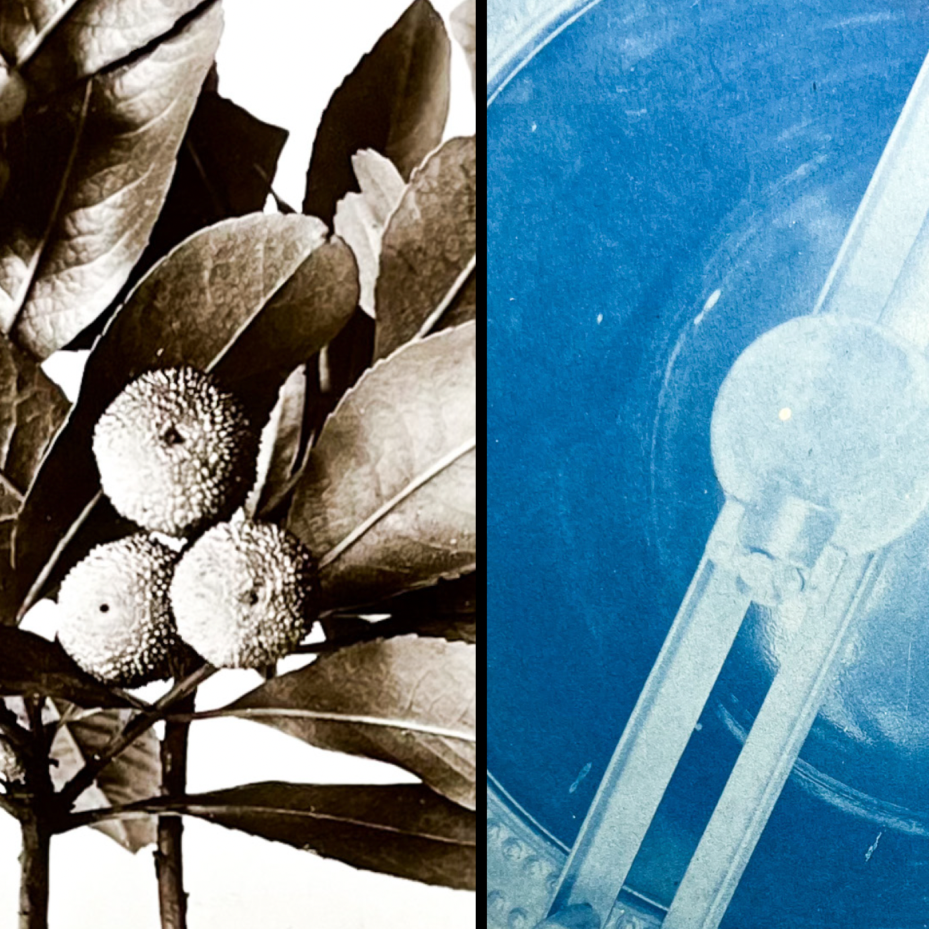 Catalogue #9: Primary Materials