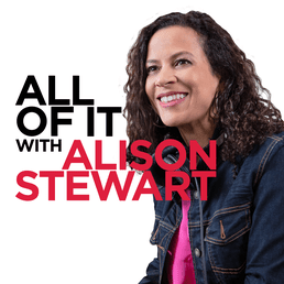 Rebecca Romney on WNYC's ALL OF IT