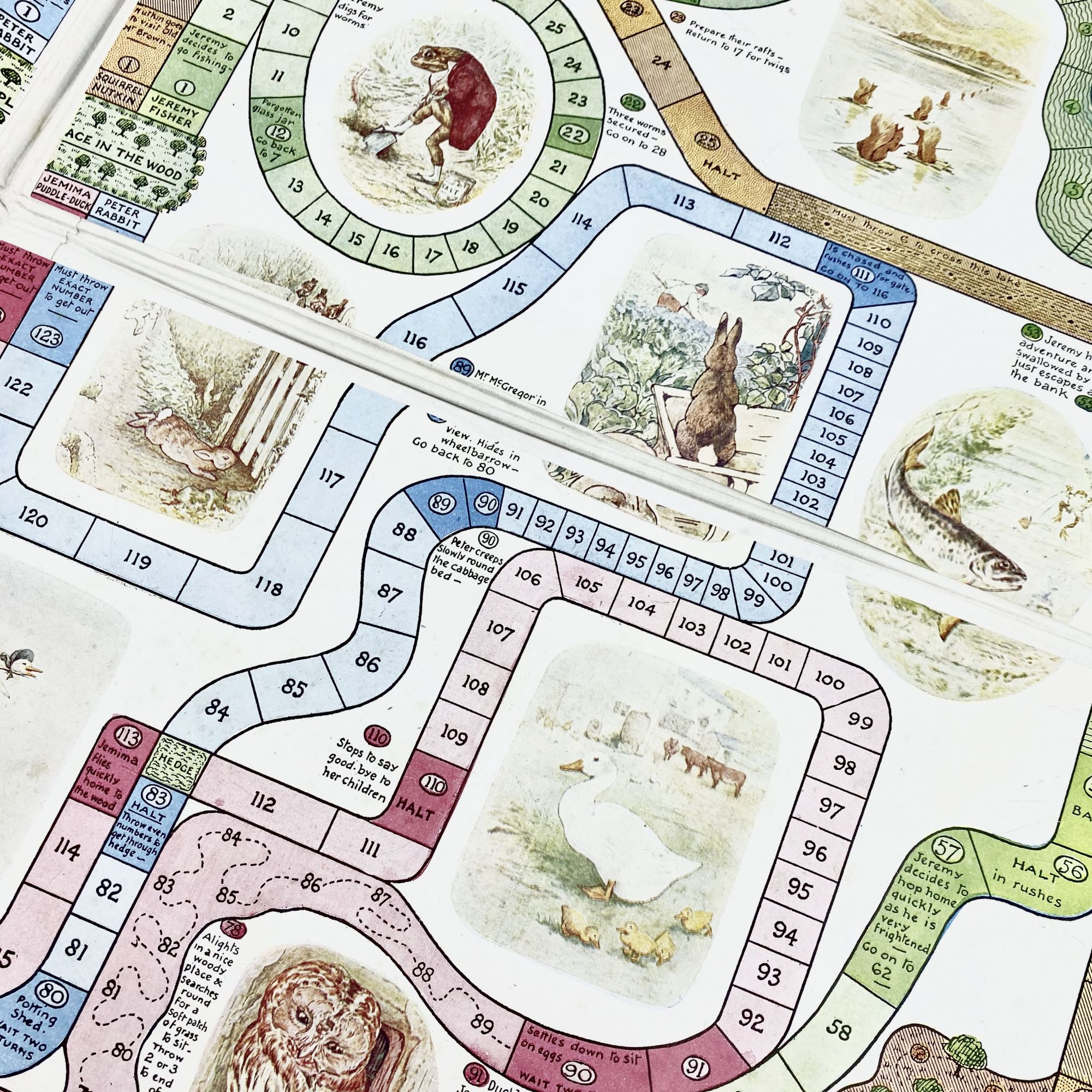 PETER RABBIT'S RACE GAME | Beatrix Potter