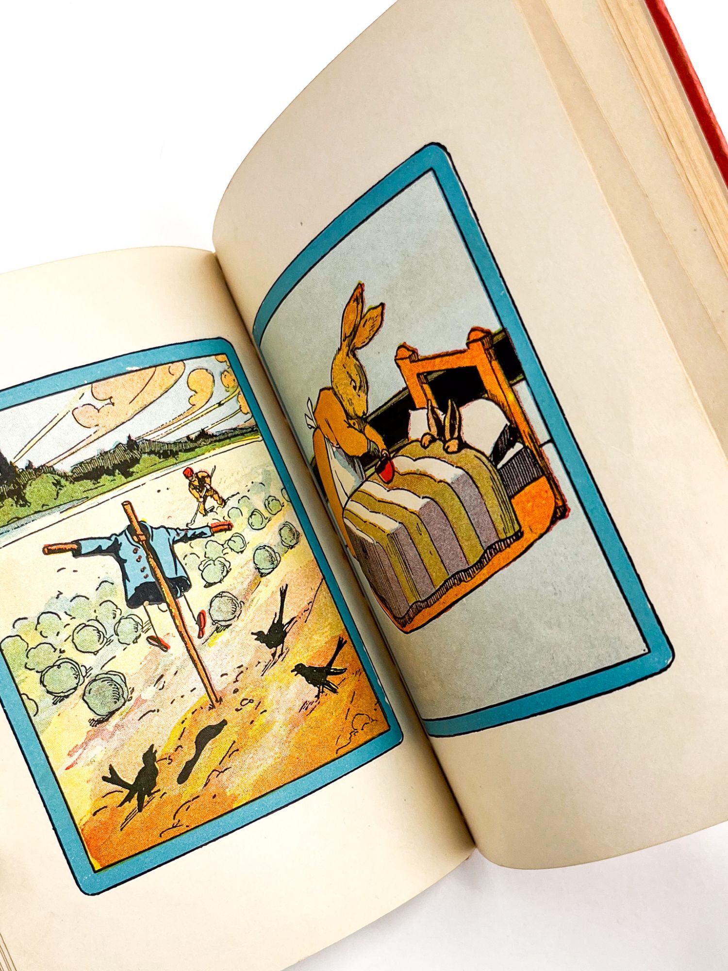 John R. Neill Peter Rabbit THE STORY OF PETER RABBIT and DICK WHITTINGTON AND HIS CAT | Beatrix ...
