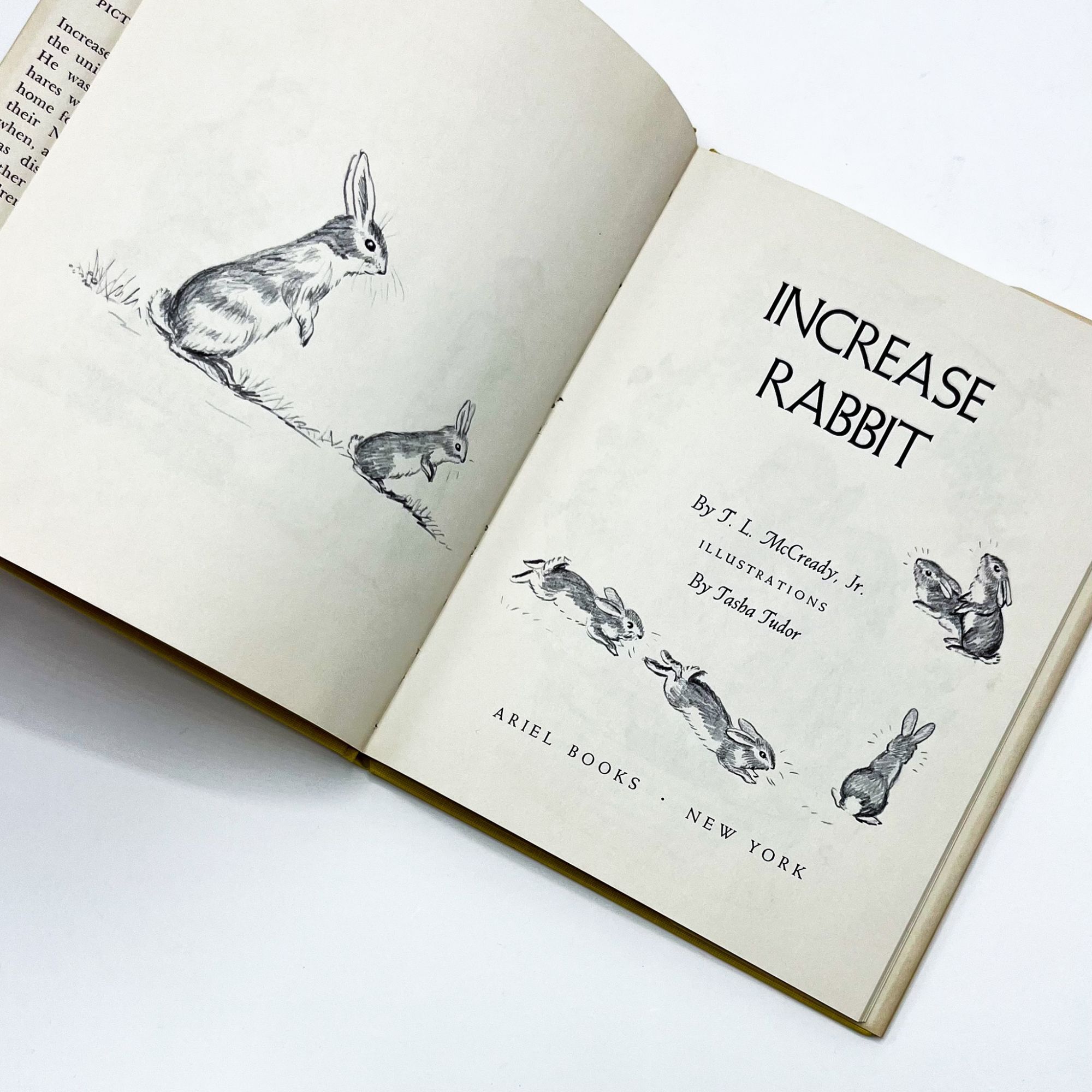 Tudor Rabbits INCREASE RABBIT | T. L. McCready, Jr., Tasha Tudor