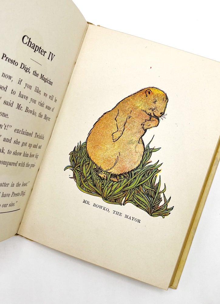 PRAIRIE-DOG TOWN