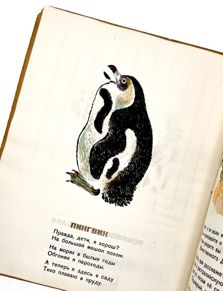 DETKI V KLETKE [ANIMAL BABIES IN A CAGE - BABIES OF THE ZOO]