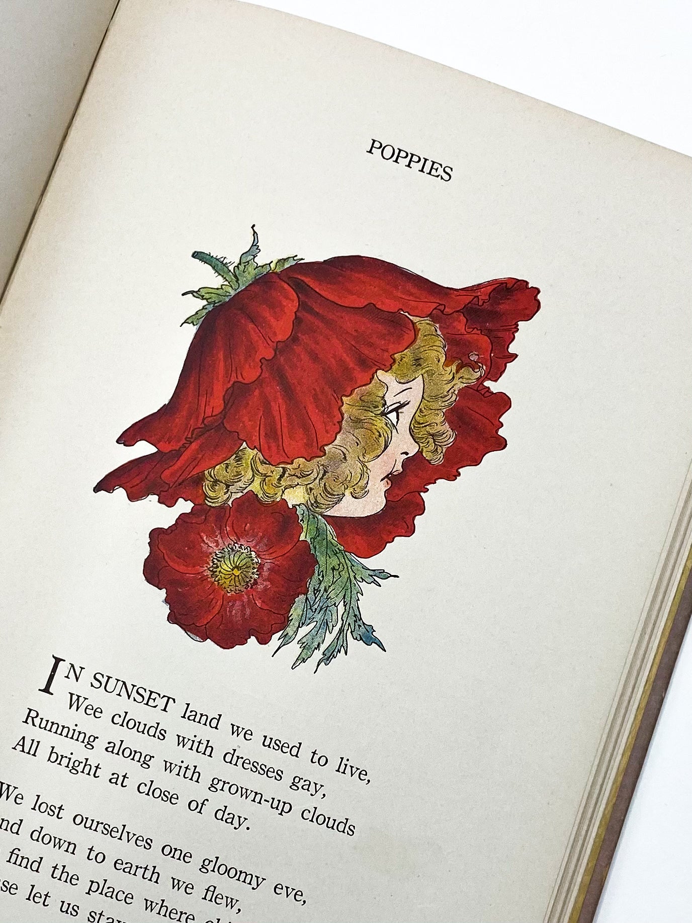 THE FLOWER BABIES' BOOK | Anna Miller Scott, M. T. Ross, M. T