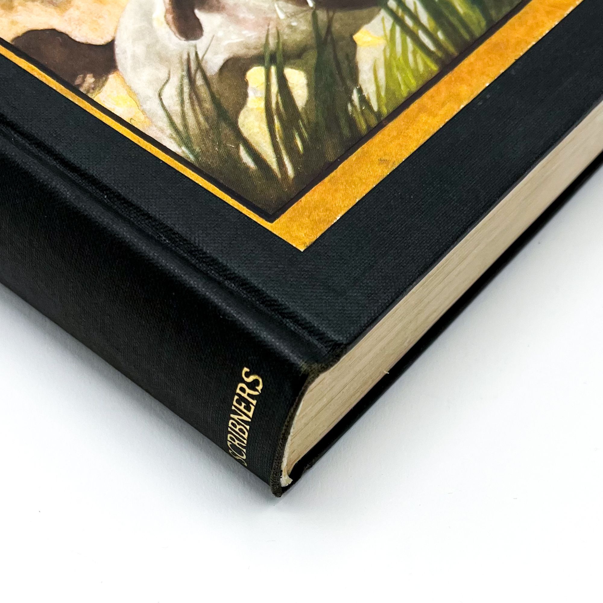 MICHAEL STROGOFF: A COURIER OF THE CZAR | Jules Verne, N. C. Wyeth