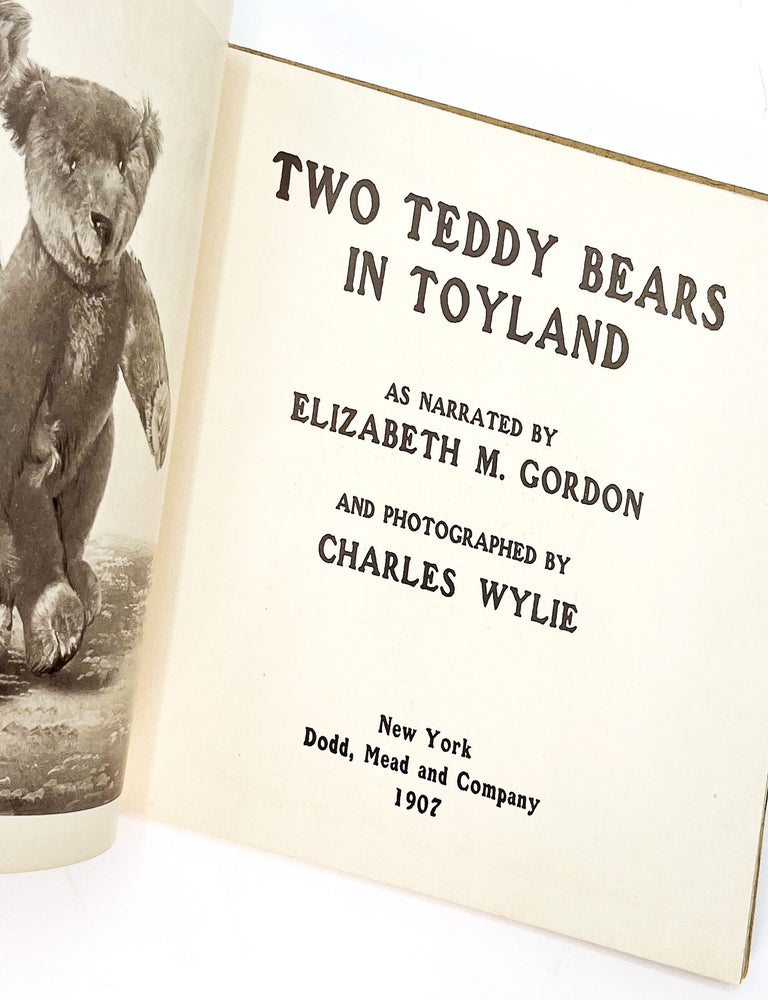TWO TEDDY BEARS IN TOYLAND