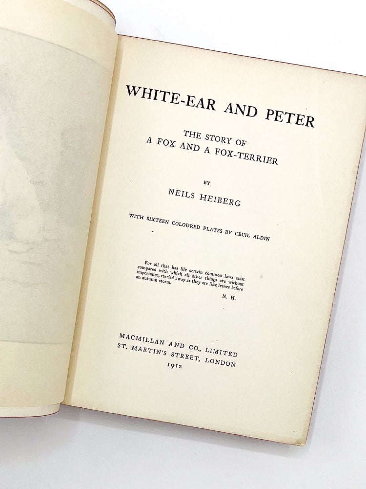 WHITE-EAR AND PETER: The Story About a Fox and a Fox Terrier