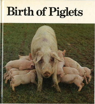 Item #37108 BIRTH OF PIGLETS. Jane Miller