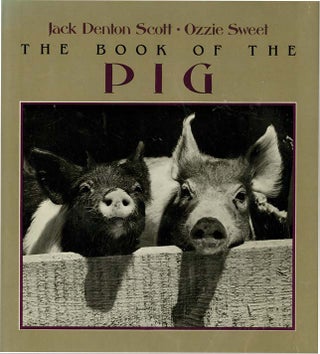Item #37141 BOOK OF THE PIG. Jack Denton Scott