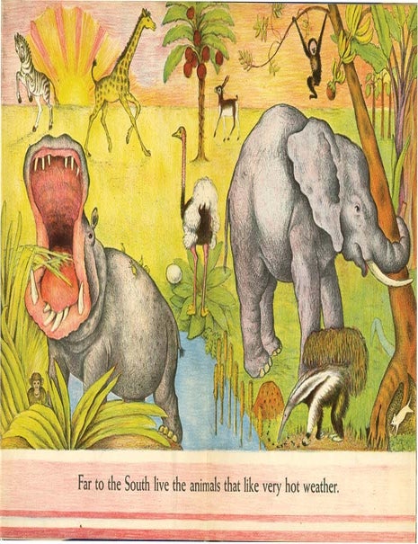 ANIMALS EVERYWHERE