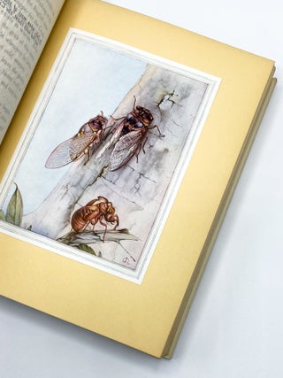 FABRE'S BOOK OF INSECTS. Mrs. Rodolph Stawell, Jean-Henri Fabre.