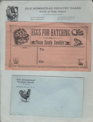 Item #41960 [Small Archive of a Mail Order Chicken Farm]. Farming, Poultry