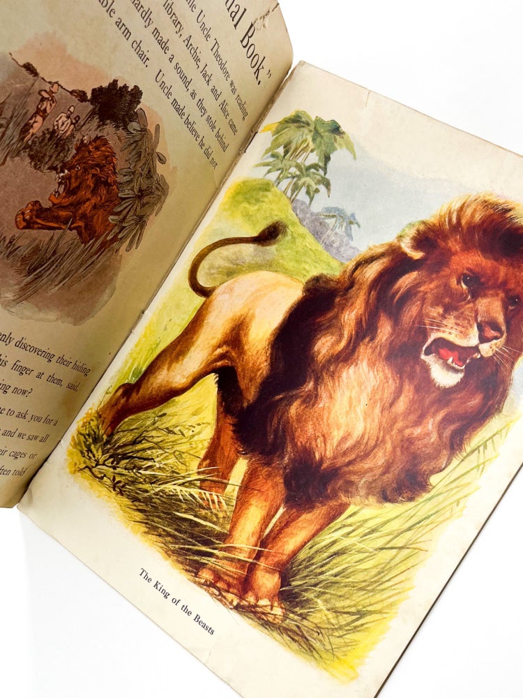 THE WILD ANIMAL BOOK