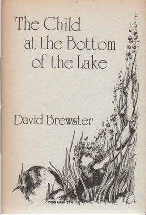Item #43336 THE CHILD AT THE BOTTOM OF THE LAKE. David BREWSTER