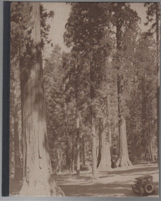Item #43520 SOME TREES. Paul ANDRIESSE