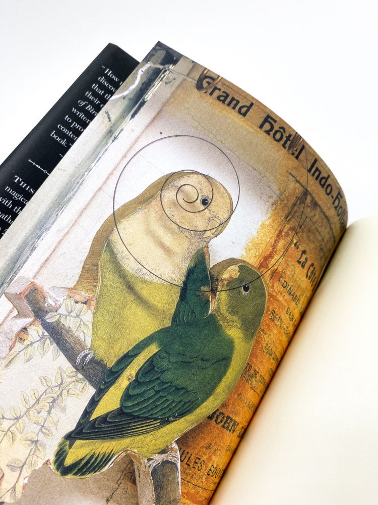 A CONVERGENCE OF BIRDS: Original Fiction and Poetry Inspired by the Work of Joseph Cornell