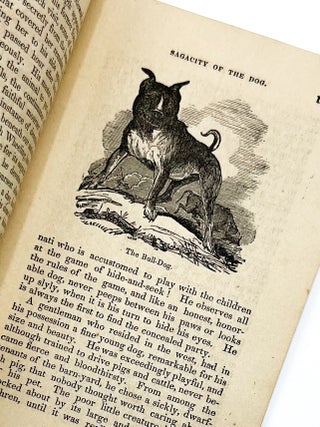 THE SAGACITY AND FIDELITY OF THE DOG; ILLUSTRATED BY INTERESTING ANECDOTES. William Howland, S. Wallin.