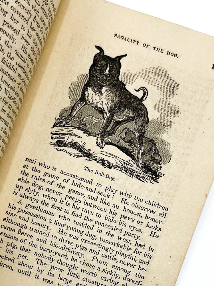 THE SAGACITY AND FIDELITY OF THE DOG; ILLUSTRATED BY INTERESTING ANECDOTES