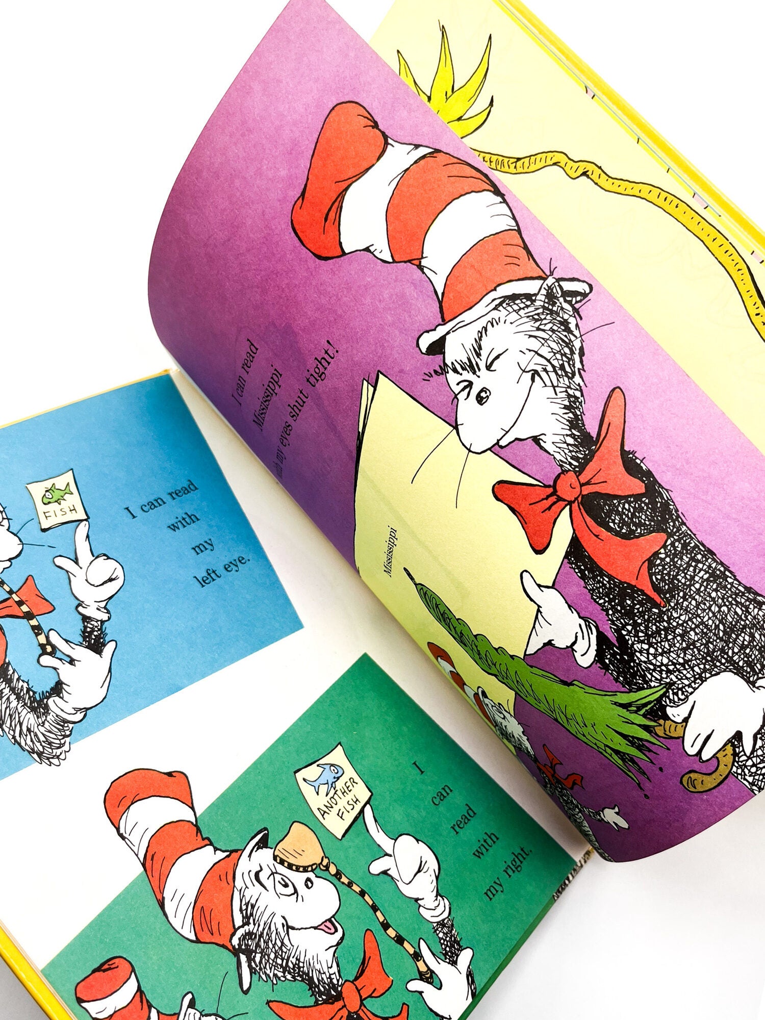 I CAN READ WITH MY EYES SHUT! | Seuss Dr