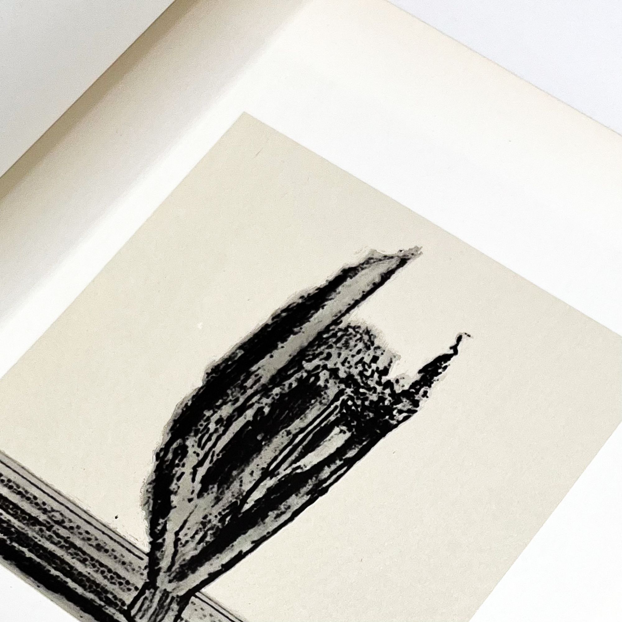 HISTOIRE NATURELLE | Max Ernst