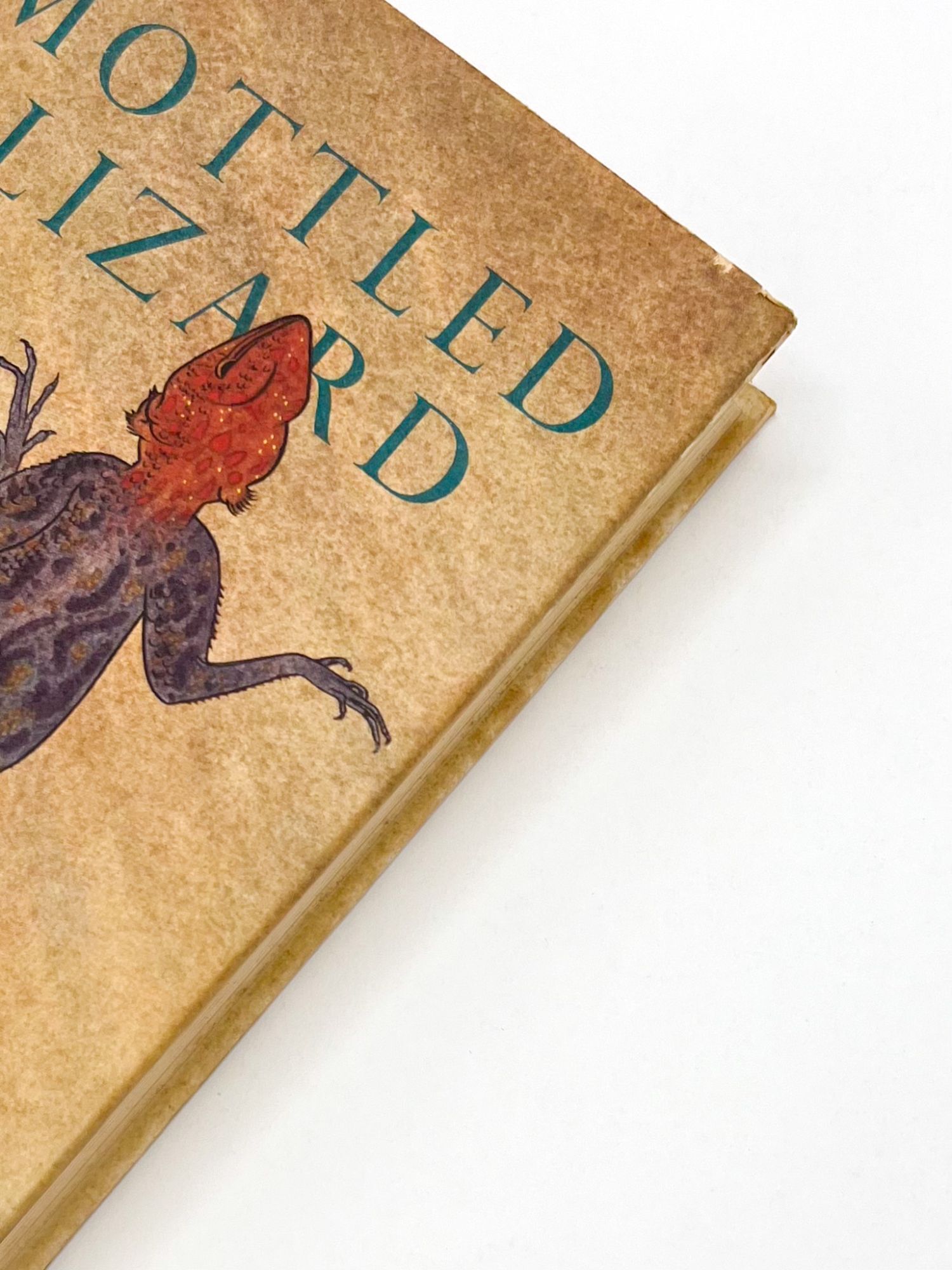 THE MOTTLED LIZARD | Elspeth Huxley