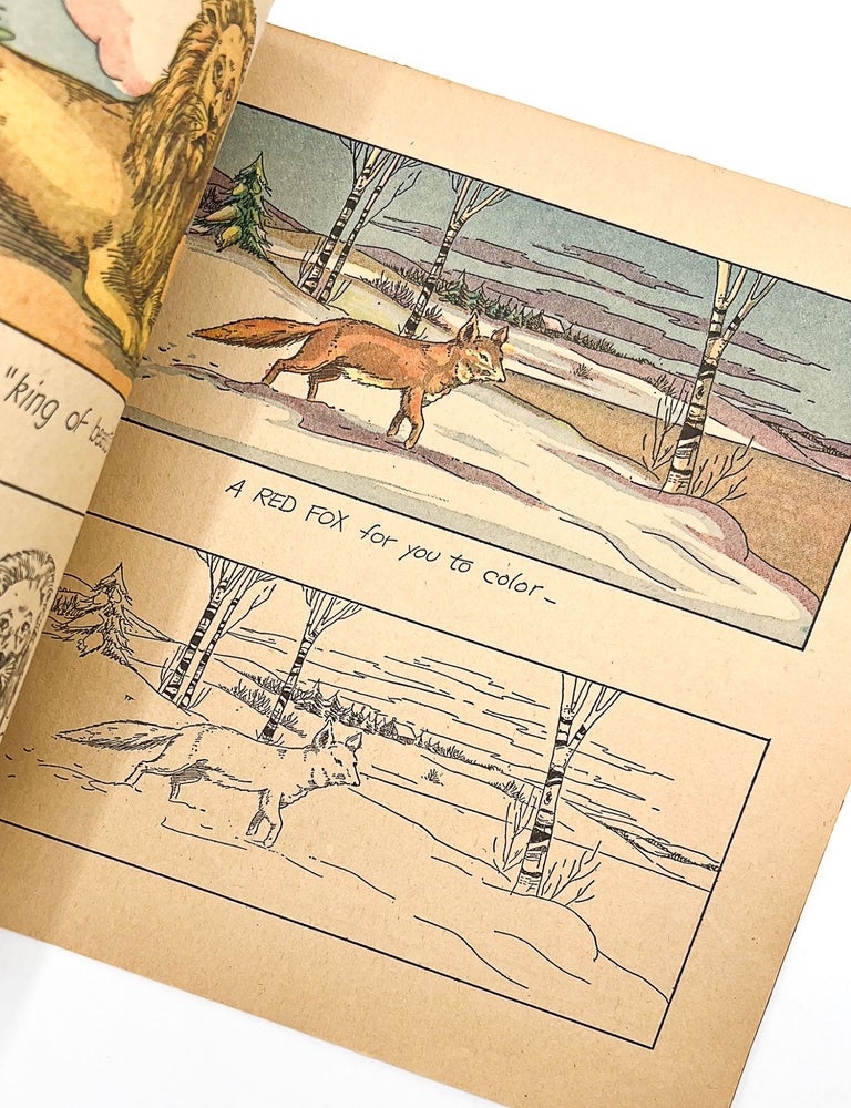 HAPPY KIDS' AT THE ZOO COLORING BOOK