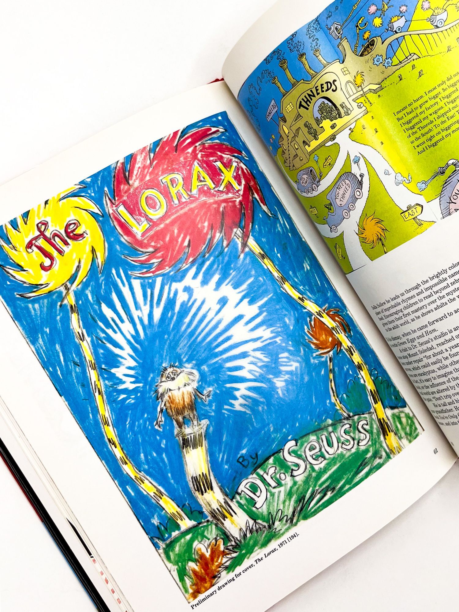 DR. SEUSS FROM THEN TO NOW | Seuss Dr., Mary Stofflet, Steven L