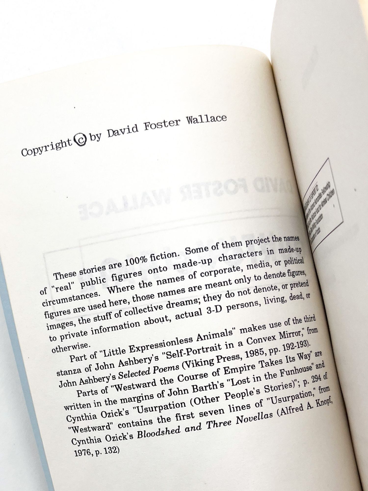 GIRL WITH THE CURIOUS HAIR: Stories | David Foster Wallace