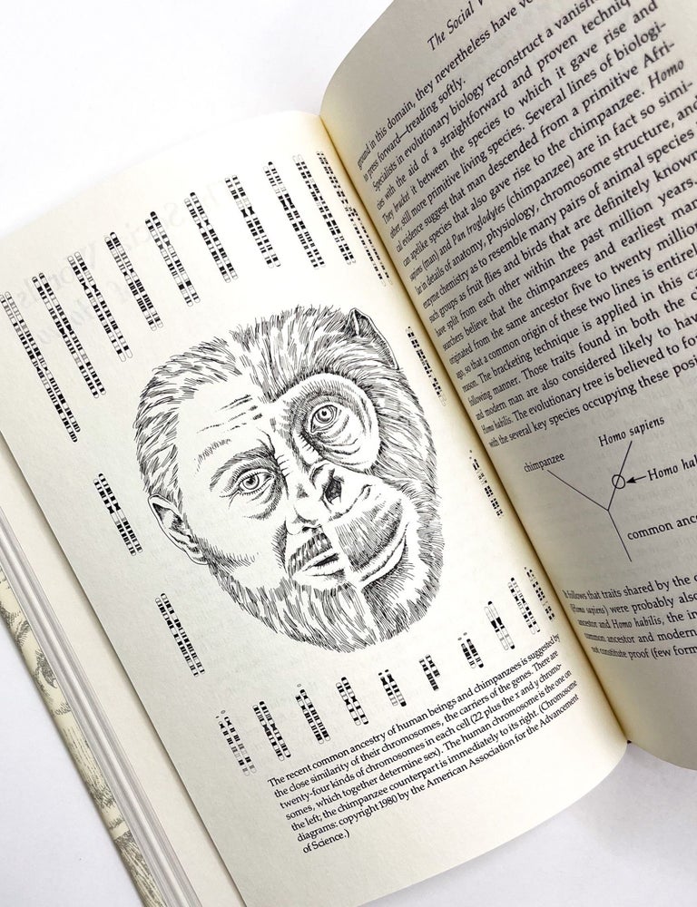 PROMETHEAN FIRE: Reflections on the Origin of the Mind