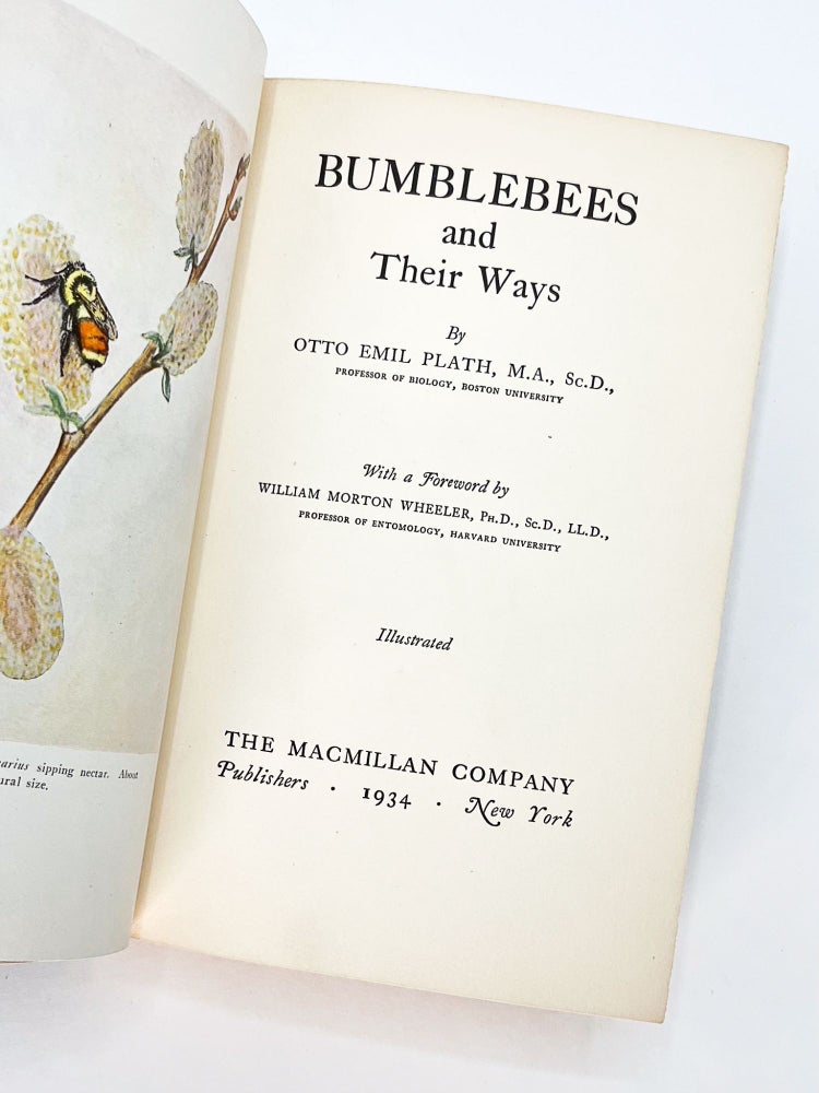 BUMBLEBEES AND THEIR WAYS