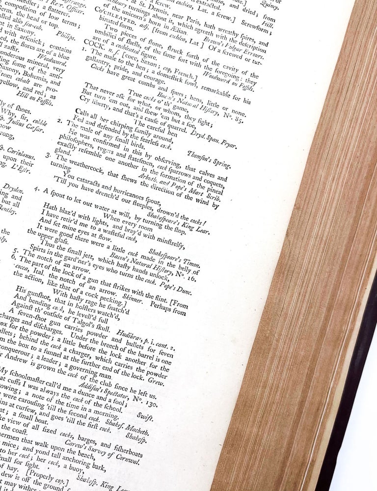 A DICTIONARY OF THE ENGLISH LANGUAGE