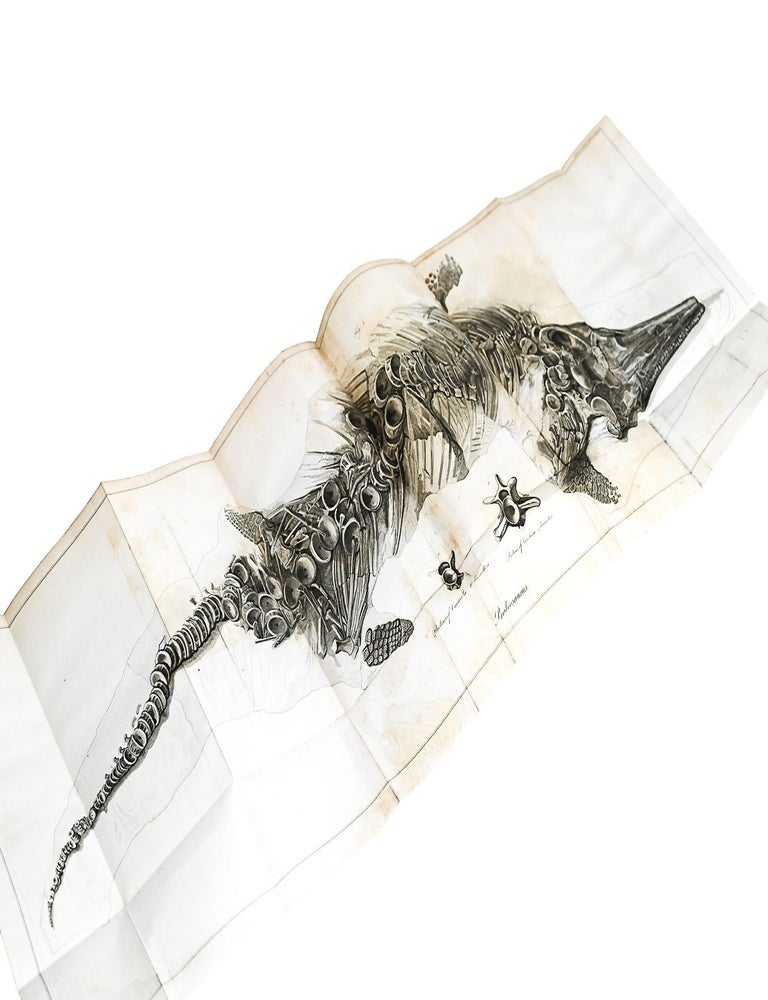 "Some Account of the fossil Remains of an Animal" [WITH] "An Account of the fossil skeleton of the Proteo-saurus" [and] "Reasons for giving the name Proteo-Saurus" in PHILOSPHICAL TRANSACTIONS (Issue 104, 31 Dec 1814 / Issue 109, 31 Dec 1819)