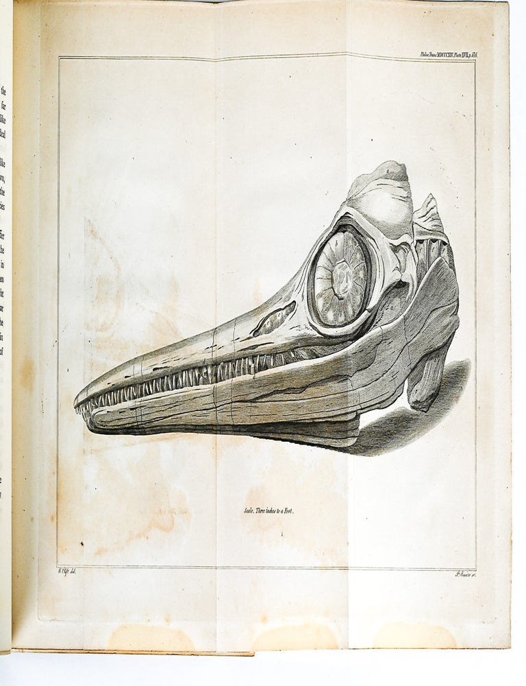 "Some Account of the fossil Remains of an Animal" [WITH] "An Account of the fossil skeleton of the Proteo-saurus" [and] "Reasons for giving the name Proteo-Saurus" in PHILOSPHICAL TRANSACTIONS (Issue 104, 31 Dec 1814 / Issue 109, 31 Dec 1819)