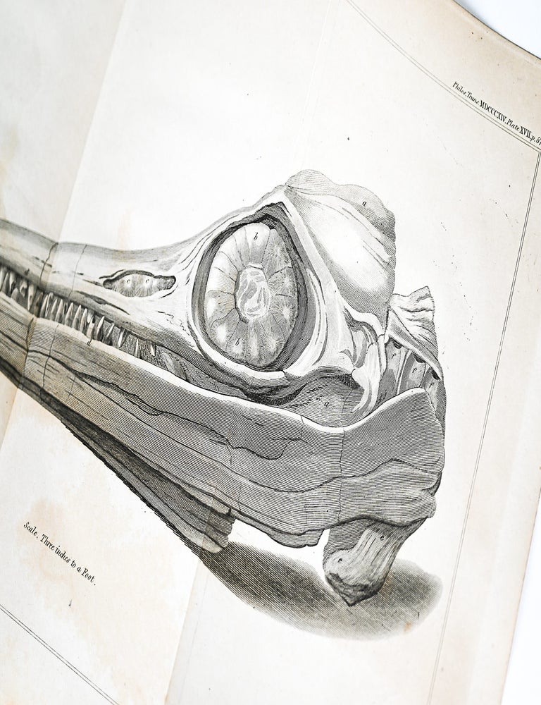 "Some Account of the fossil Remains of an Animal" [WITH] "An Account of the fossil skeleton of the Proteo-saurus" [and] "Reasons for giving the name Proteo-Saurus" in PHILOSPHICAL TRANSACTIONS (Issue 104, 31 Dec 1814 / Issue 109, 31 Dec 1819)