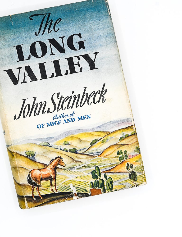 THE LONG VALLEY