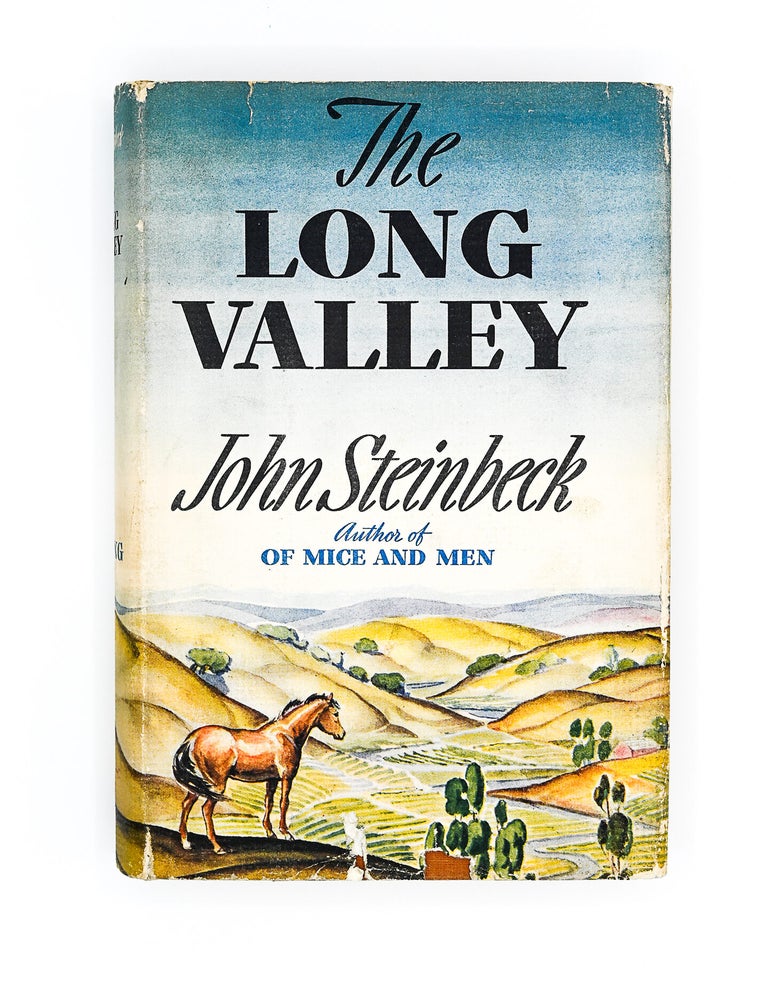 THE LONG VALLEY