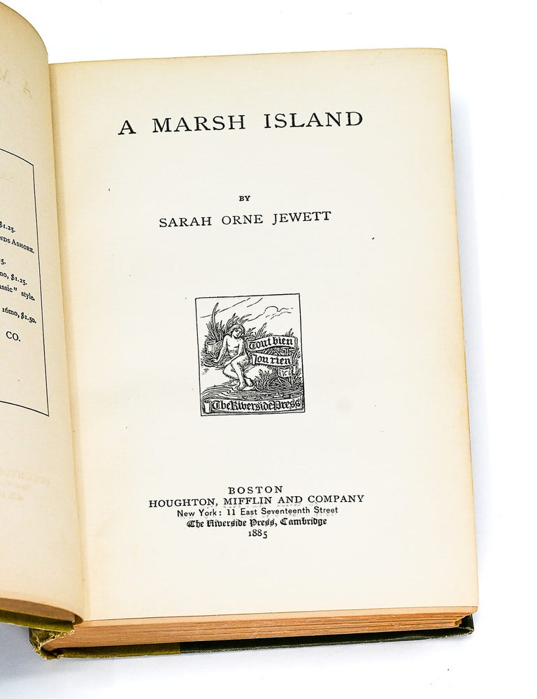 A MARSH ISLAND