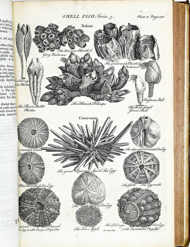 A GENERAL NATURAL HISTORY