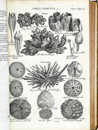 A GENERAL NATURAL HISTORY. John Hill.
