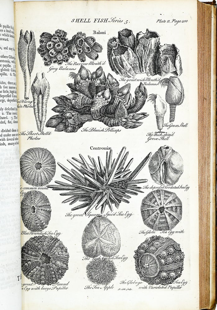 A GENERAL NATURAL HISTORY