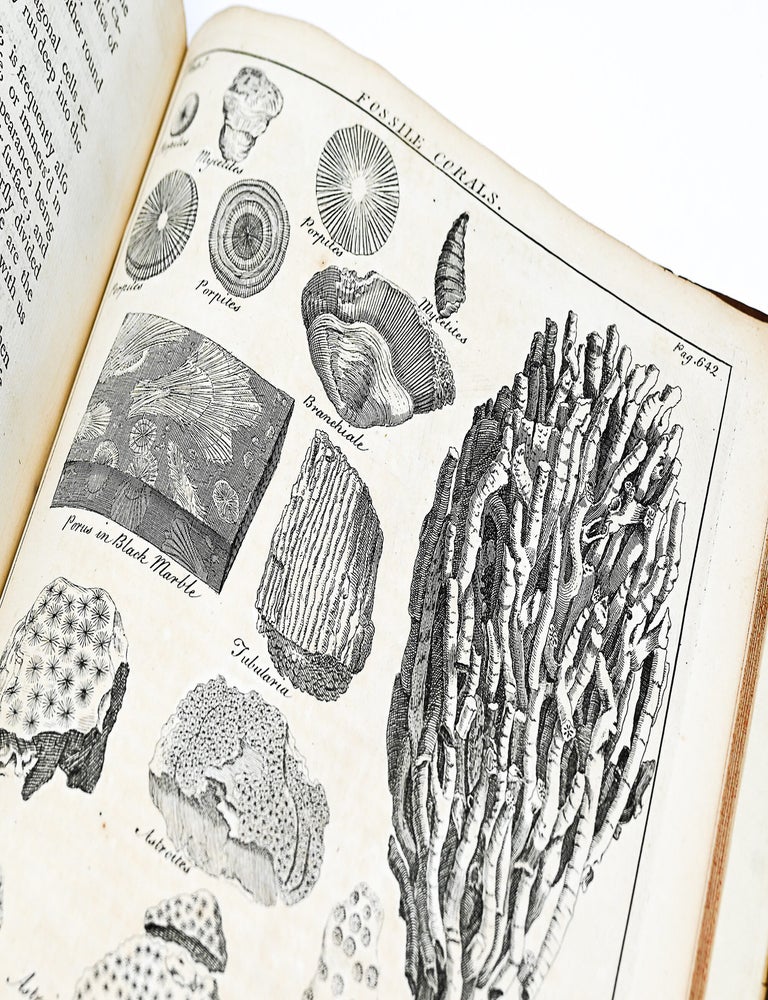 A GENERAL NATURAL HISTORY