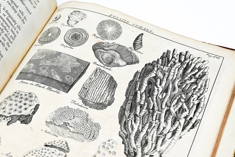 A GENERAL NATURAL HISTORY