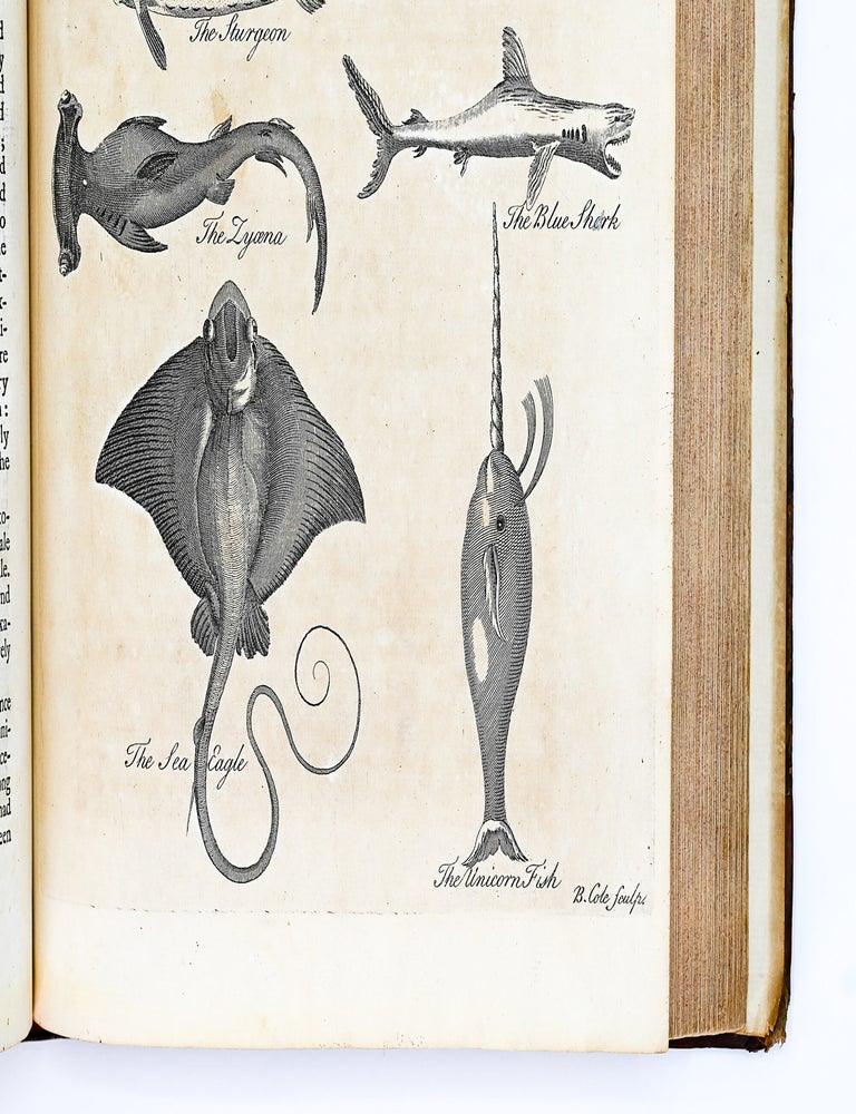 A GENERAL NATURAL HISTORY