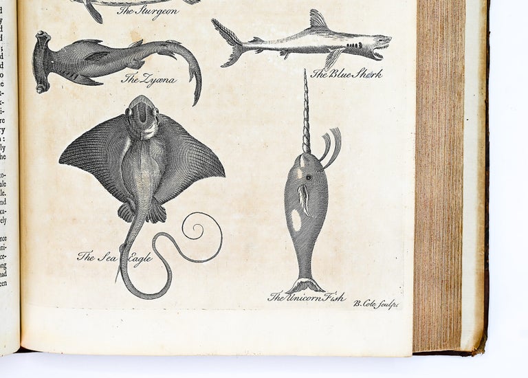 A GENERAL NATURAL HISTORY