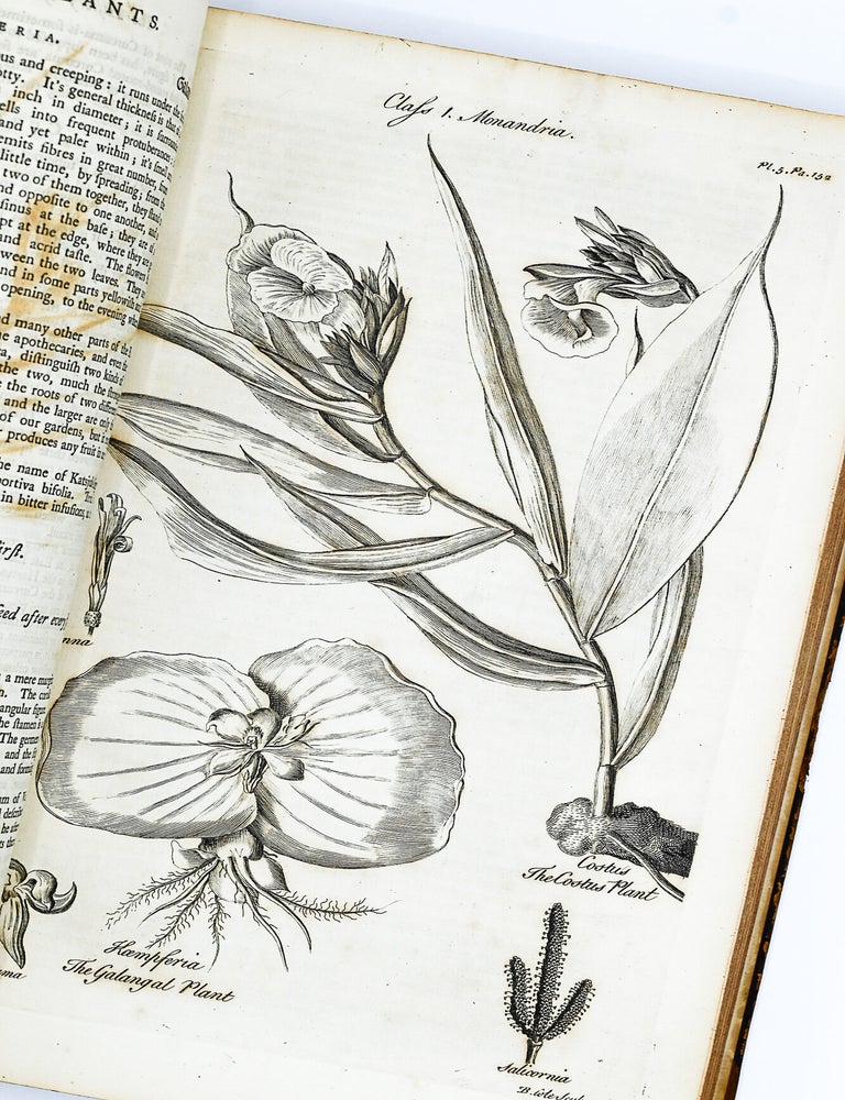 A GENERAL NATURAL HISTORY