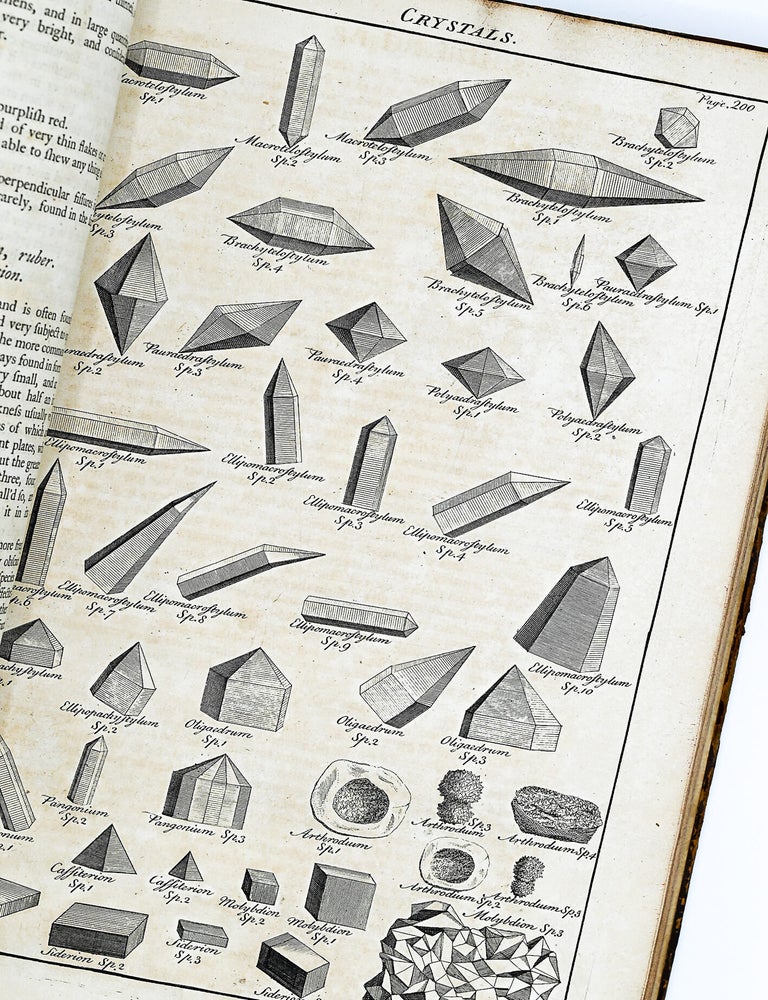 A GENERAL NATURAL HISTORY