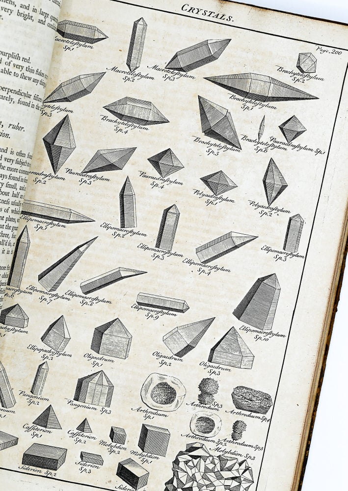 A GENERAL NATURAL HISTORY