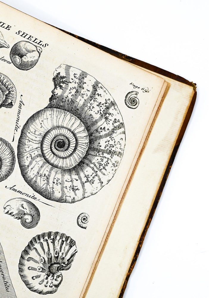 A GENERAL NATURAL HISTORY