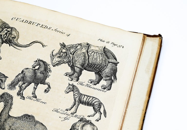 A GENERAL NATURAL HISTORY